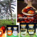 neue Art Palmöl Extraktionsmaschine